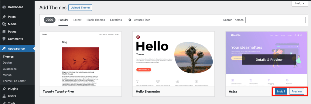 theme card with Install button